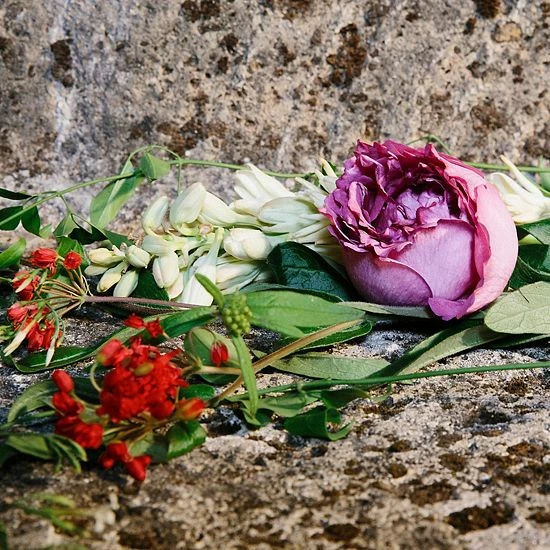 Best reviews of โญ Gucci Gucci Bloom Ambrosia Di Fiori Eau De Parfum Intense For Her ๐ 4 Best reviews of โญ Gucci Gucci Bloom Ambrosia Di Fiori Eau De Parfum Intense For Her ๐ - Image 2