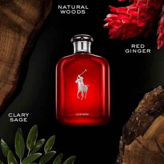 Buy ✨ Ralph Lauren Polo Red Eau De Parfum 🥰 4 Buy ✨ Ralph Lauren Polo Red Eau De Parfum 🥰 - Image 2