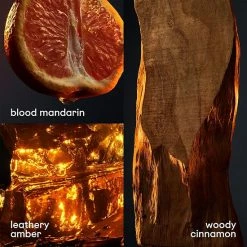 Budget ⭐ Paco Rabanne 1 Million Eau De Toilette 🥰 -Beauty Shop unnamed file 498