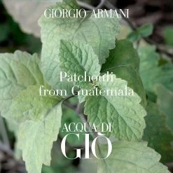 Brand new ✔️ Armani Beauty Aqua Di Gio Profondo Eau De Parfum Spray 🎁 -Beauty Shop unnamed file 569